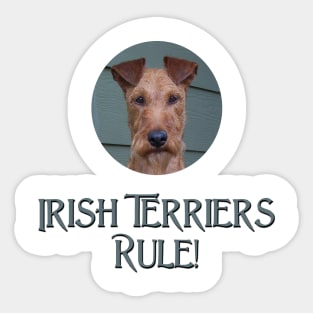 Irish Terriers Rule! Sticker